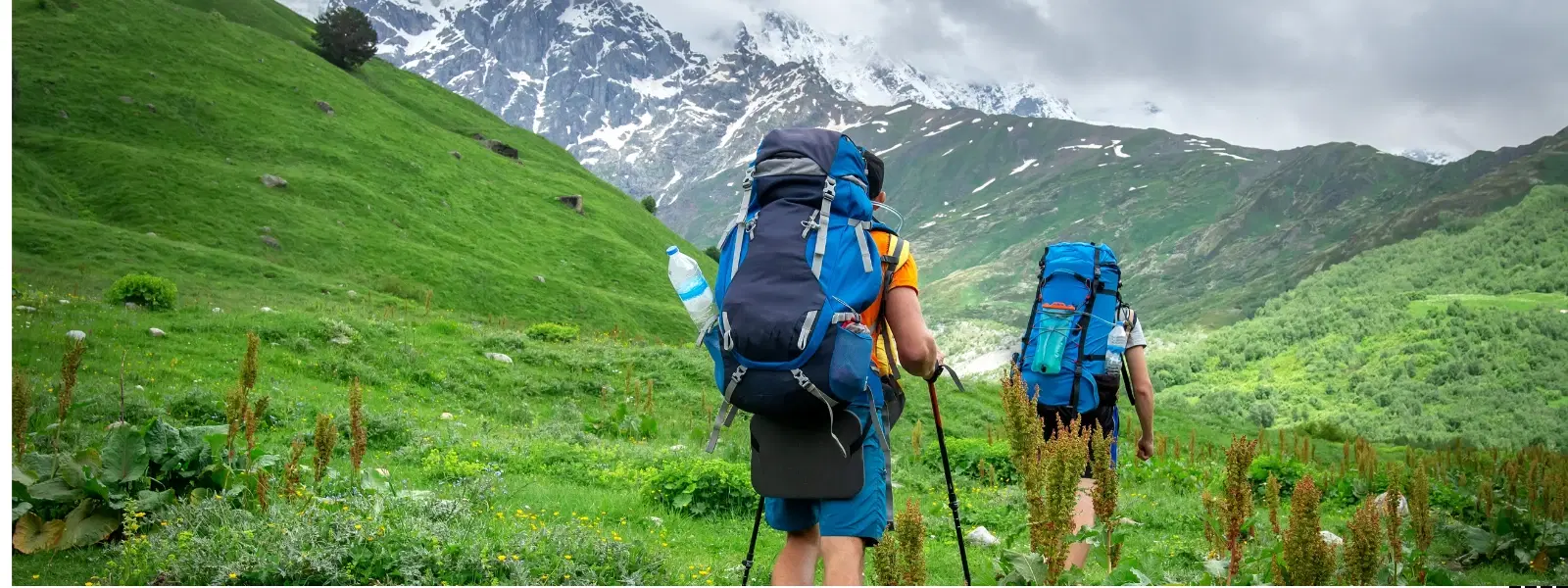 Christmas & New Year Special Offer-post-2016