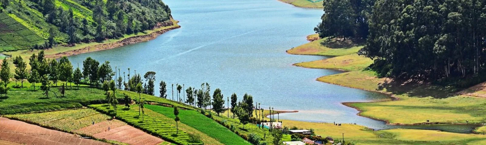 Christmas & New Year Special Offer-post-2025