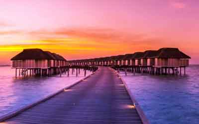 Holiday package gallery