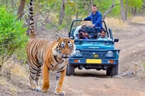 Jim Corbett MICE Group Tour Package (50-150 pax)