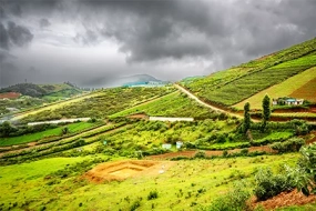 Ooty Madurai Rameshwaram South India Tour – 7N/8D